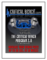 TheCriticalBenchProgram.pdf